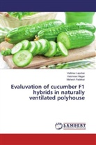 Vaibha Lajurkar, Vaibhav Lajurkar, Vaishnav Magar, Vaishnavi Magar, Mahesh Padekar - Evaluvation of cucumber F1 hybrids in naturally ventilated polyhouse
