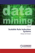 Ashraf Afifi - Scalable Rule Induction Systems
