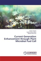 Syeda Rubin Gillani, Syeda Rubina Gillani, Muhamma Imran, Muhammad Imran, Amar Yaseen, Amara Yaseen - Current Generation Enhancement through Plant Microbial Fuel Cell