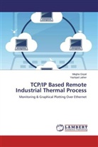 Megh Goyal, Megha Goyal, Yashpal Lather - TCP/IP Based Remote Industrial Thermal Process