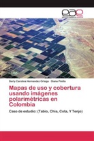 Derly Carolin Hernandez Ortega, Derly Carolina Hernandez Ortega, Diana Pinilla - Mapas de uso y cobertura usando imágenes polarimétricas en Colombia