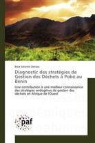Brice Saturnin Dansou, Dansou-b - Diagnostic des strategies de