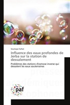 Soumaya Farhat, Farhat-s - Influence des eaux profondes de