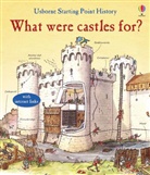Phil Cox, Phil Roxbee Cox, Cox Phil Roxbee, Phil Roxbee Cox, Sue Stitt, Sue Stitt... - What Were Castles For?