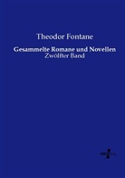 Theodor Fontane - Gesammelte Romane und Novellen