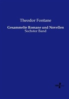Theodor Fontane - Gesammelte Romane und Novellen
