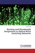 Milo¿ Kozák, Milos Kozák - Routing and Wavelength Assignment in Optical Burst Switching Networks