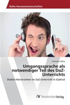 Christian Callice - Umgangssprache als notwendiger Teil des DaZ- Unterrichts