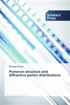 Michael Groys - Pomeron structure and diffractive parton distributions