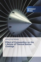Ahmed Umar Munawar - Effect of Composition on the Lifetime of Thermal Barrier Coatings