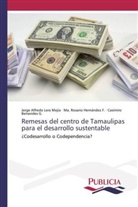 Casimiro Benavides G., Ma Rosari Hernández F, Ma Rosario Hernández F, Ma. Rosario Hernández F., Jorge Alfred Lera Mejía, Jorge Alfredo Lera Mejía - Remesas del centro de Tamaulipas para el desarrollo sustentable