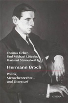 Thomas Eicher, Paul M Lützeler, Paul M. Lützeler, Pau M Lützeler, Hartmut Steinecke - Hermann Broch