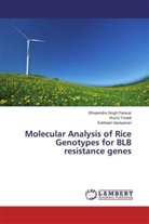 Narayanan, Subhash Narayanan, Bhupendra Sing Panwar, Bhupendra Singh Panwar, Ruch Trivedi, Ruchi Trivedi - Molecular Analysis of Rice Genotypes for BLB resistance genes