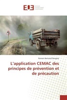 Romain Bertrand Dongmo, Dongmo-r - L application cemac des principes