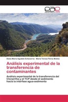 Diana Mari Agudelo Echavarria, Diana Maria Agudelo Echavarria, Mar Florez Molina, María Teresa Florez Molina - Análisis experimental de la transferencia de contaminantes