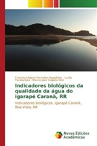 Francisca Edjane Marcelino Magalhães, Lucília Pacobahyba, Marcos José Salgado Vital - Indicadores biológicos da qualidade da água do igarapé Caranã, RR
