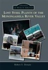 Robert S Dorsett, Robert S. Dorsett - Lost Steel Plants of the Monongahela River Valley