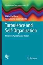 Aleksander V Kolesnichenko, Aleksander V. Kolesnichenko, Mikhail Y Marov, Mikhail Ya Marov - Turbulence and Self-Organization