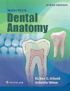 Rickne Scheid, Rickne C. Scheid, Rickne C. Weiss Scheid, Gabriela Weiss - Woelfels Dental Anatomy