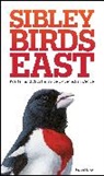David Sibley, David Allen Sibley, Mr David Sibley - The Sibley Field Guide to Birds of Eastern North America
