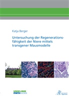 Katja Berger - Untersuchung der Regenerationsfähigkeit der Niere mittels transgener Mausmodelle