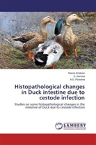 Nasir Khatoon, Nasira Khatoon, A G Rizwana, A. G. Rizwana, A.G. Rizwana, Samina... - Histopathological changes in Duck intestine due to cestode infection