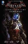 Viktor Bogdanovic, Peter Tomasi, Peter J. Tomasi, Viktor Bogdanovic - Batman Arkham Knight Genesis