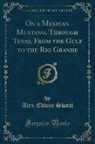 Alex Edwin Sweet - On a Mexican Mustang, Through Texas, from the Gulf to the Rio Grande (Classic Reprint)