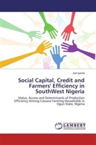 Joel Iyanda - Social Capital, Credit and Farmers' Efficiency in SouthWest Nigeria