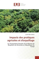 Laude Abel Ouakou, Ouakou-l - Impacts des pratiques agricoles