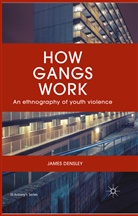 J Densley, J. Densley, James Densley - How Gangs Work