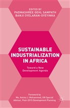 Padmashree Oyelaran-Oyeyinka Gehl Sampath, Banji Oyelaran-Oyeyinka, Gehl Sampath, Gehl Sampath, Padmashree Gehl Sampath, BANJ OYELARAN-OYEYINKA... - Sustainable Industrialization in Africa