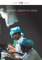 P Ngai, Pun Ngai, Ngai Pun - Migrant Labor in China