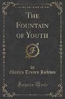 Charles Tenney Jackson - The Fountain of Youth (Classic Reprint)