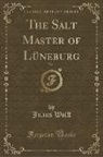 Julius Wolff - The Salt Master of Lüneburg, Vol. 1 (Classic Reprint)