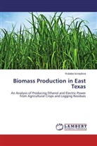 Rubaba Ismayilova - Biomass Production in East Texas