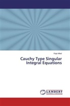 Raja Milad - Cauchy Type Singular Integral Equations