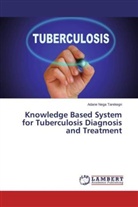 Adane Nega Tarekegn - Knowledge Based System for Tuberculosis Diagnosis and Treatment