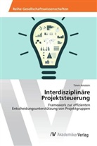 Timm Amstein - Interdisziplinäre Projektsteuerung