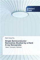 Manh Hung Chu - Single Semiconductor Nanowires Studied by a Hard X-ray Nanoprobe