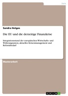Sandra Hetges - Die EU und die derzeitige Finanzkrise