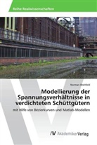 Norman Breitfeld - Modellierung der Spannungsverhältnisse in verdichteten Schüttgütern