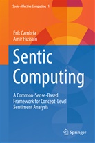 Eri Cambria, Erik Cambria, Amir Hussain - Sentic Computing