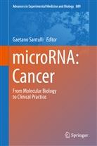 Gaetan Santulli, Gaetano Santulli - microRNA: Cancer