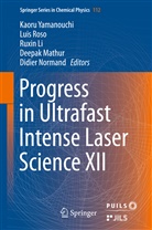 Chinese Academy of Sciences et al, Ruxin Li, Ruxin Li et al, Deepak Mathur, Didier Normand, Lui Roso... - Progress in Ultrafast Intense Laser Science XII