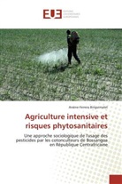 Arsène-Ferrera Binguimalet, Binguimalet-a - Agriculture intensive et risques