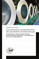 Mohamed Amen Gahbiche, Gahbiche-m - Caracterisation et identification