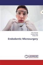 Anku Banode, Ankur Banode, Vandan Gade, Vandana Gade, Sanjay Patil - Endodontic Microsurgery