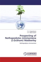 V K Abdul Kareem, V. K. Abdul Kareem, P Rajasekharan, P E Rajasekharan, P. E. Rajasekharan - Prospecting of Nothapodytes nimmoniana (J.Graham) Mabberley