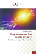 Chemseddine Maatki, Maatki-c - Magneto-convection double diffusive